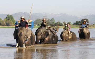 Daklak suspends elephant ride service tomorrow