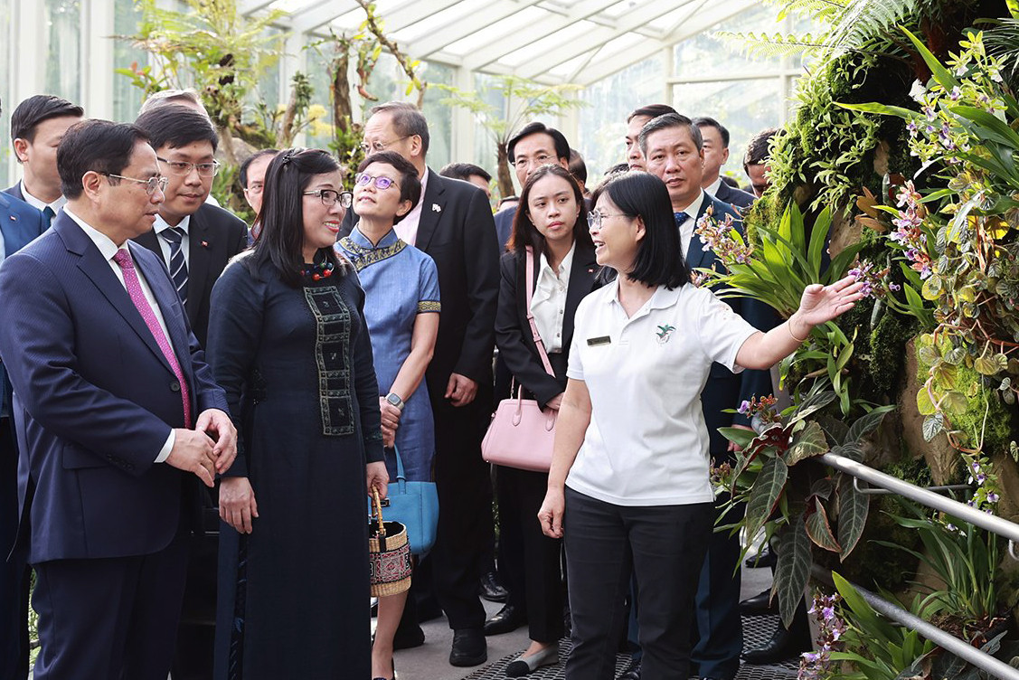 Hoa lan mang tên Thủ tướng và Phu nhân giữa Vườn thực vật Singapore