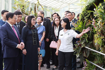 Hoa lan mang tên Thủ tướng và Phu nhân giữa Vườn thực vật Singapore