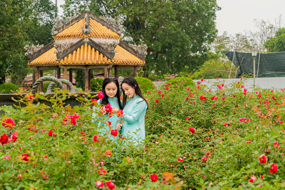 'Vườn hồng của Nam Phương' đẹp mê mẩn nơi kinh thành Huế