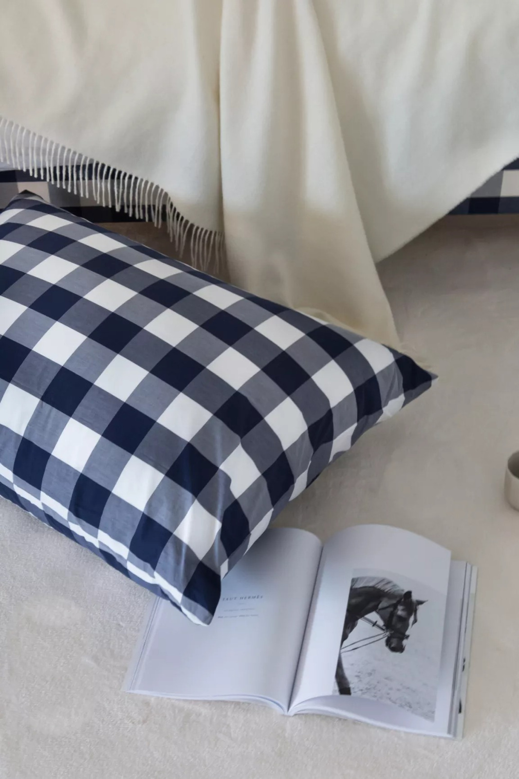 giuong hastens anh 3