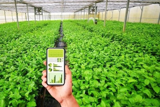 Tăng cường chuyển đổi số cho kinh tế hợp tác tại vùng DTTS và miền núi