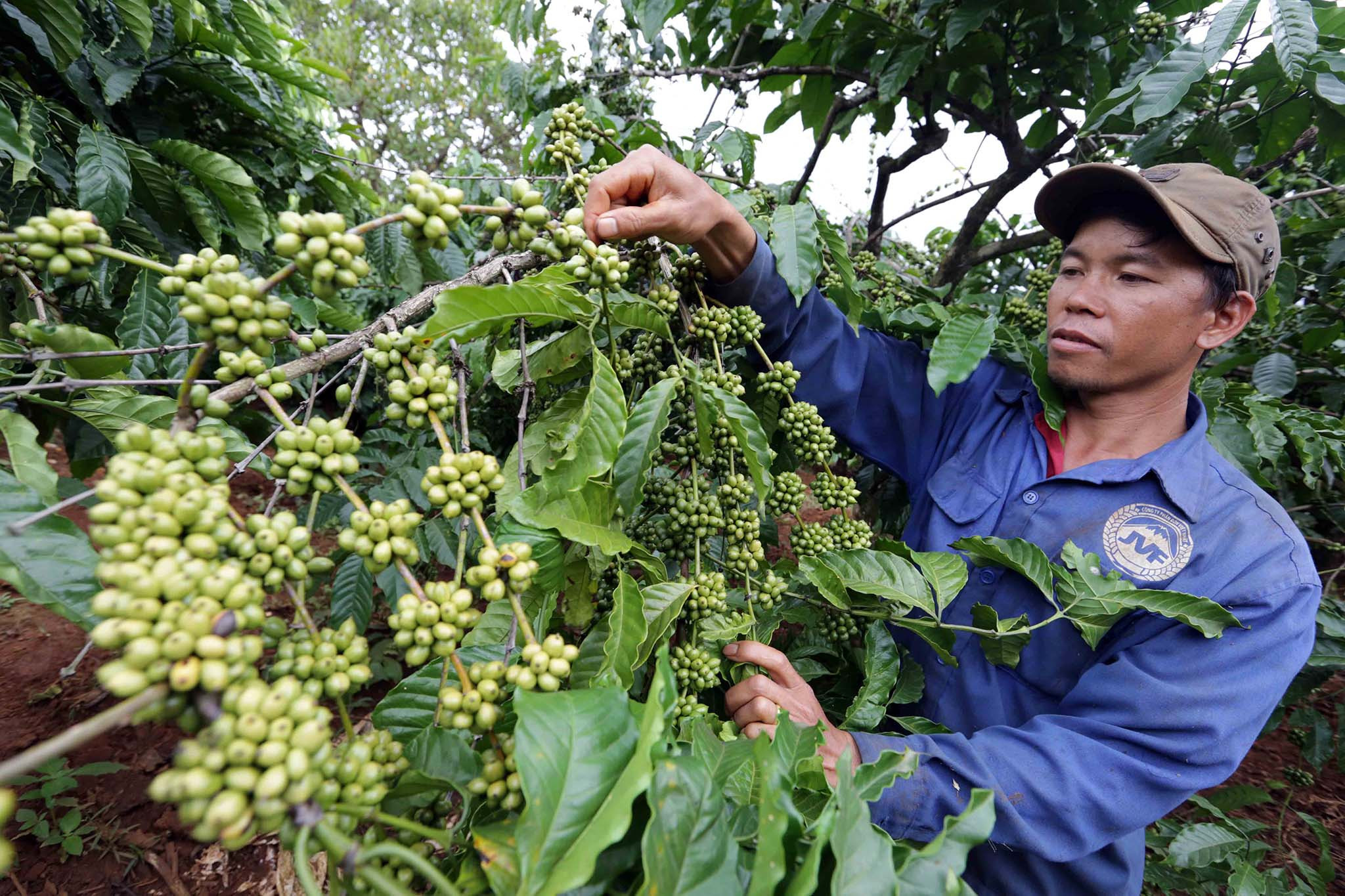 Tín dụng chính sách góp phần giảm nghèo trên cao nguyên M'nông