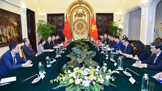 Leaders of Ministry of Foreign Affairs receive, hold talks with Chinese official hinh anh 2