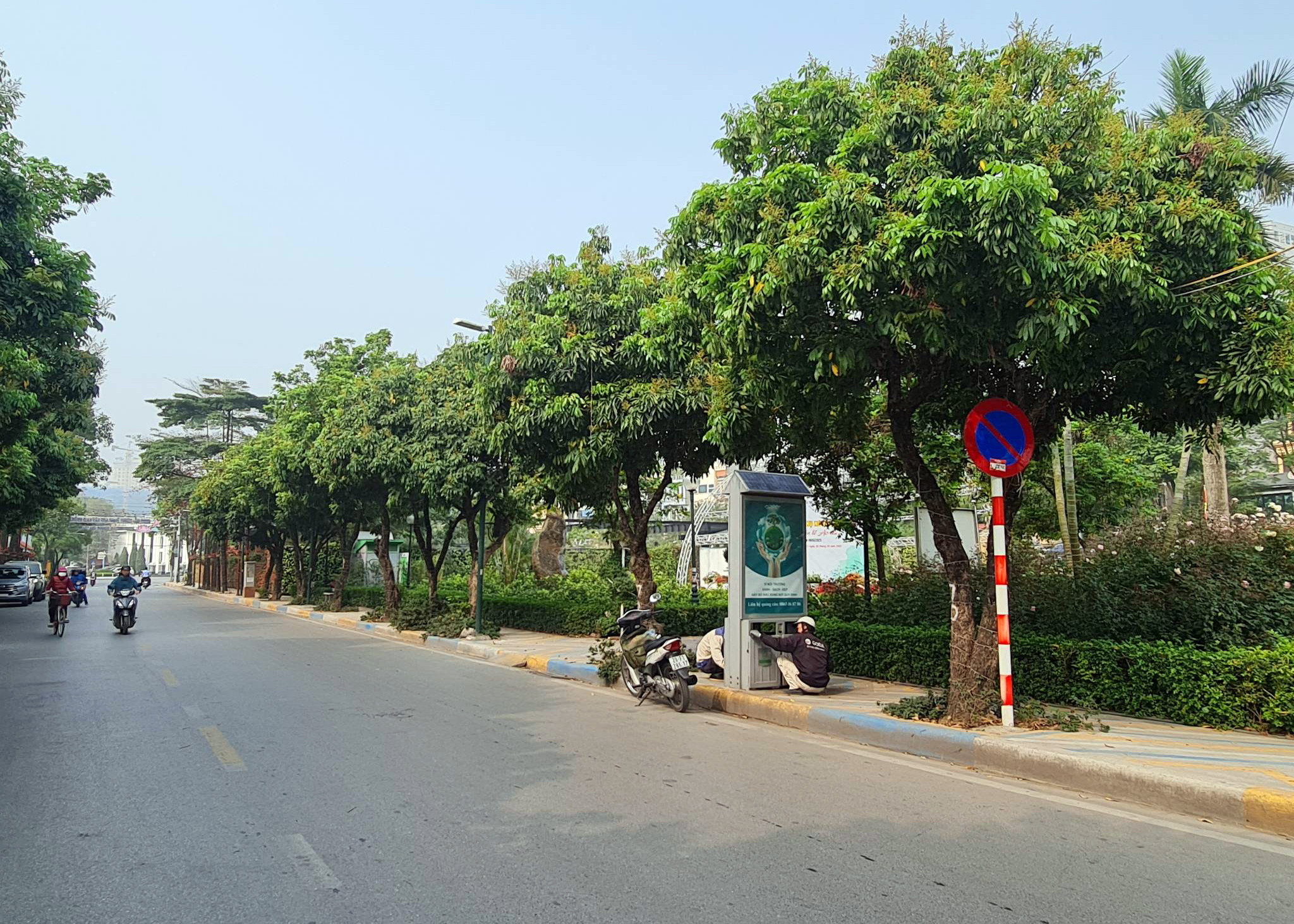Hà Nội: Đề xuất đánh chuyển hàng cây nhãn ở không gian đi bộ Trịnh Công Sơn