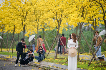 Hanoi - 12 floral seasons tourism