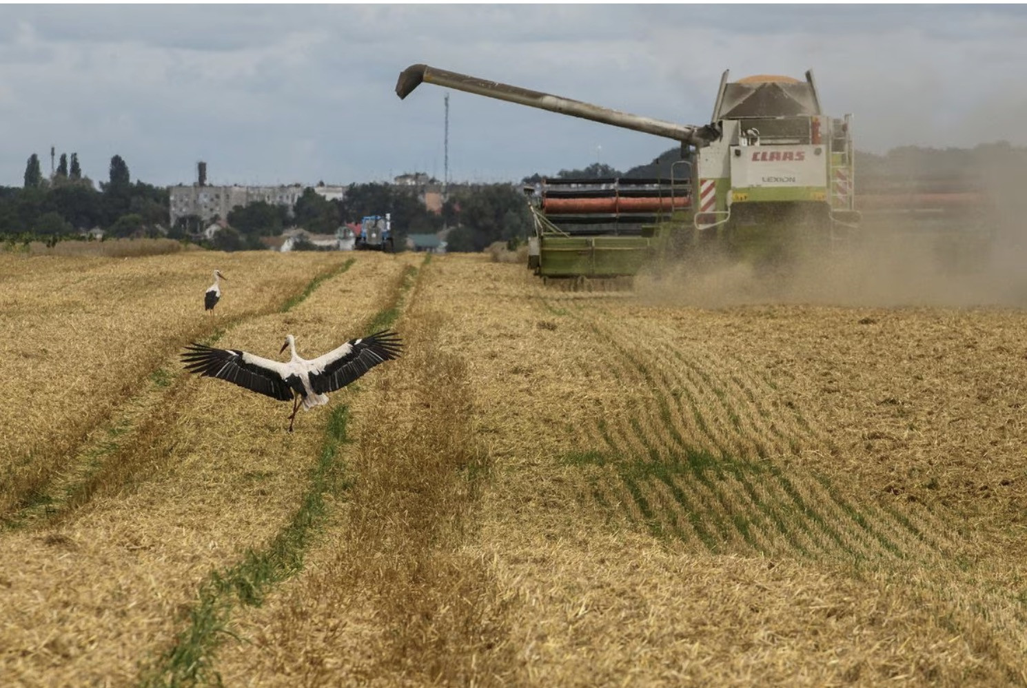 EU kéo dài lệnh trừng phạt Nga, Moscow và Liên Hợp Quốc gia hạn thỏa thuận ngũ cốc