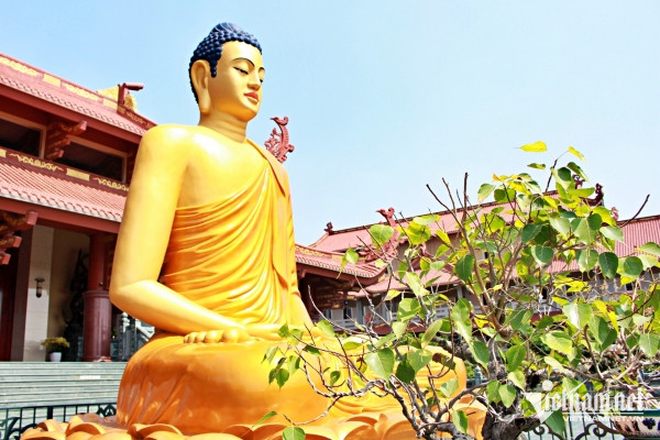 Chuyện về tượng ‘Phật cô đơn’ tọa thiền giữa cánh đồng hoang tàn vì bom đạn