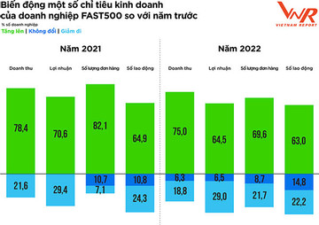 Top 500 Doanh nghiệp tăng trưởng nhanh nhất Việt Nam năm 2023