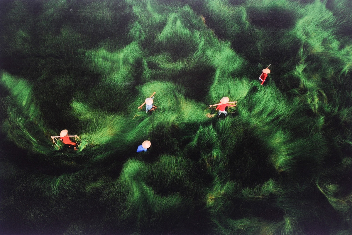 local pieces of work at international art photo contest exhibited in hanoi picture 6