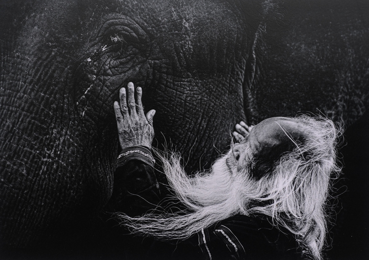 local pieces of work at international art photo contest exhibited in hanoi picture 9