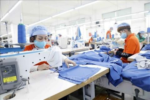 Vietnam's trade recovers strongly since reopening