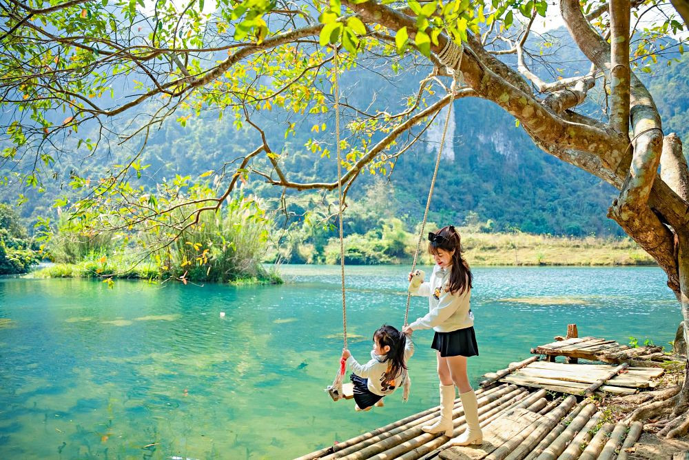 Cây phu thê 50 tuổi dáng độc lạ, du khách thích thú chụp hình ở Lạng Sơn