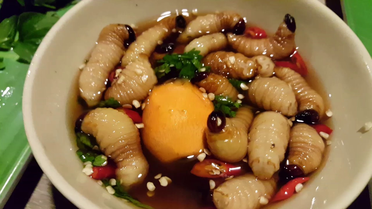 'Scary' dishes that visitors should try in Vietnam