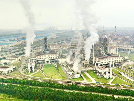 Vietnamese enterprises prepare for carbon credit market