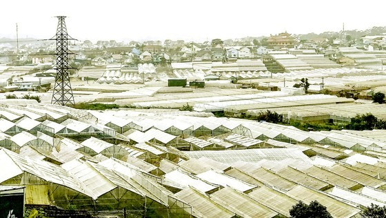 Vietnamese enterprises prepare for carbon credit market ảnh 1