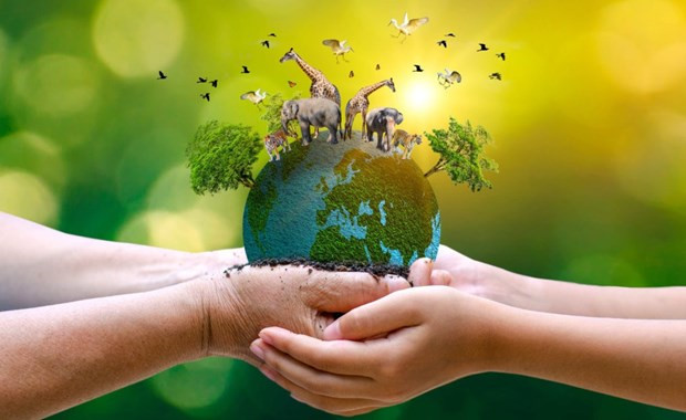 Wildlife protection requires joint efforts from all stakeholders hinh anh 1