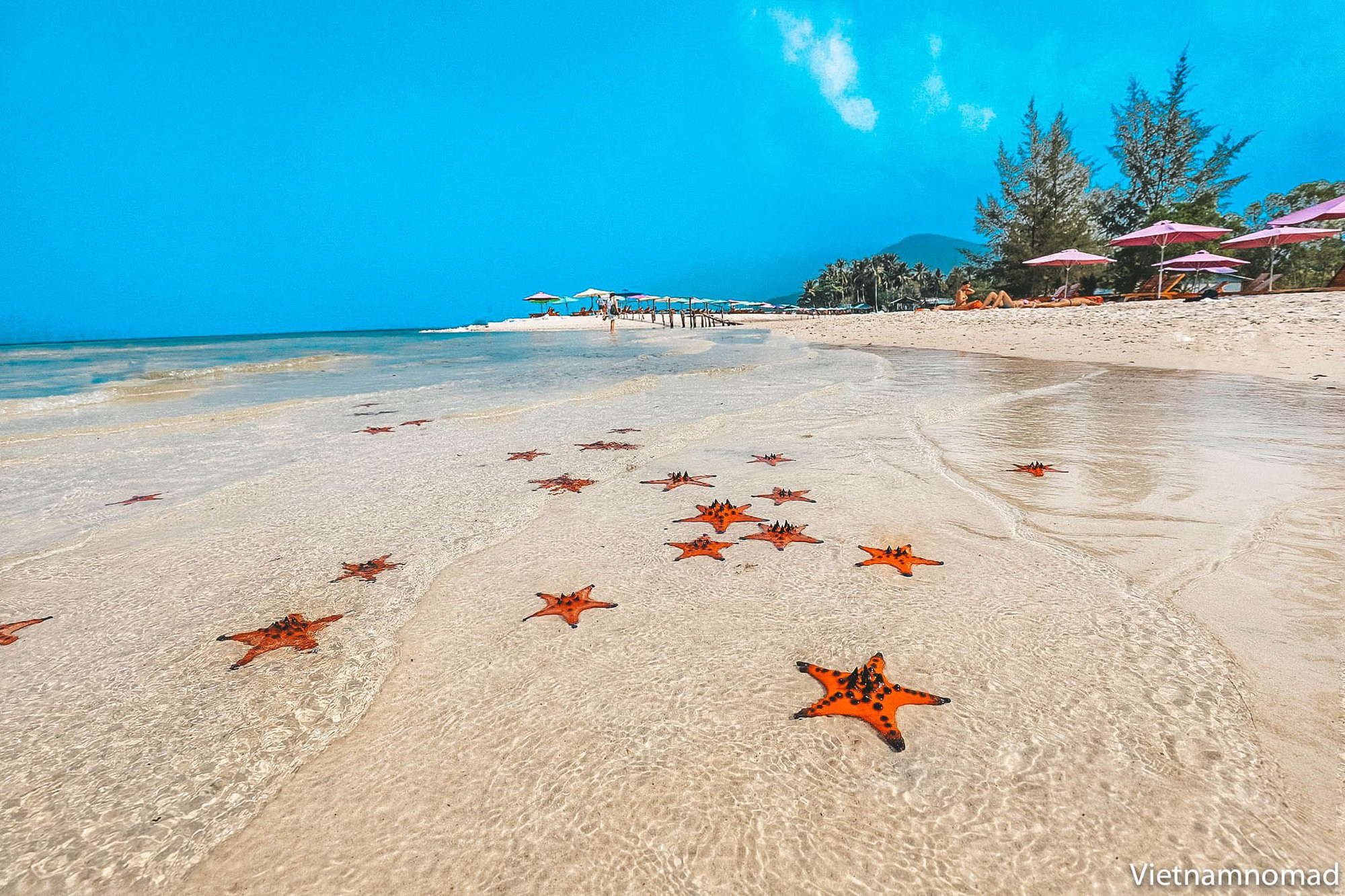 Viet Nam takes steps to make future more sustainable: Euronews - Ảnh 3.