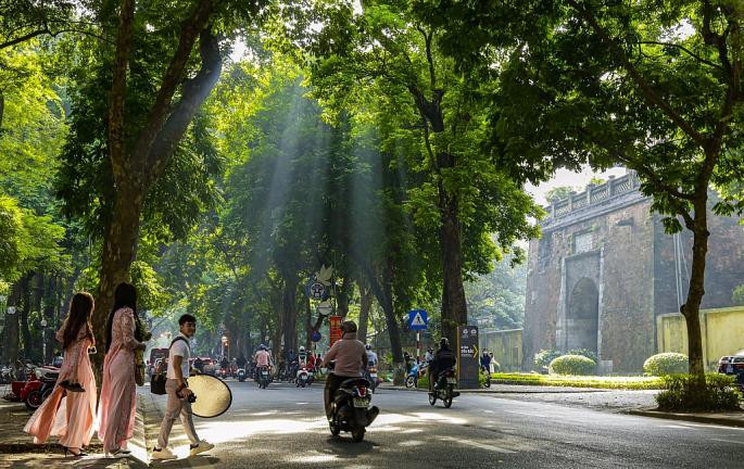Hanoi among the cities with most trees in the world