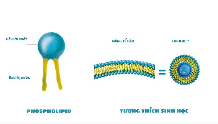 Cảm xúc đám cưới qua ống kính của nhiếp ảnh gia nổi tiếng nước Mỹ