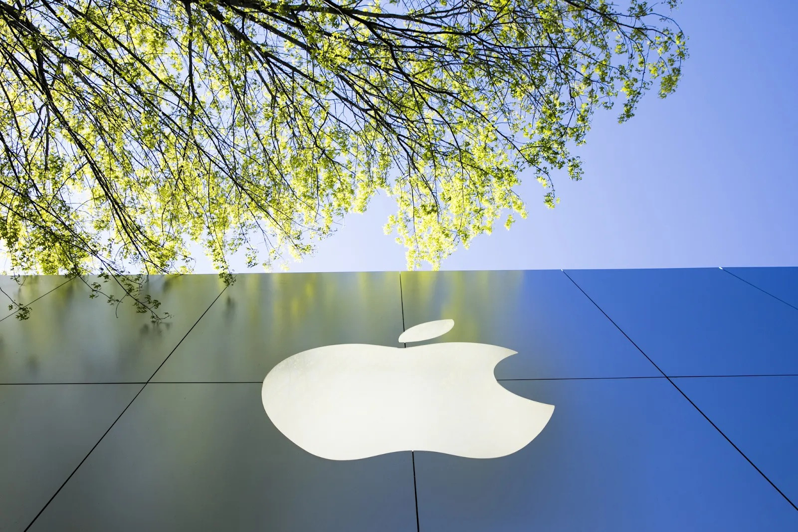 Apple làm gì để thoát khủng hoảng sa thải?