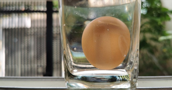 Chuyên gia Mỹ khuyên khi thấy trứng có 5 dấu hiệu này thì không nên mua, dễ gặp trứng để lâu - Ảnh 4.