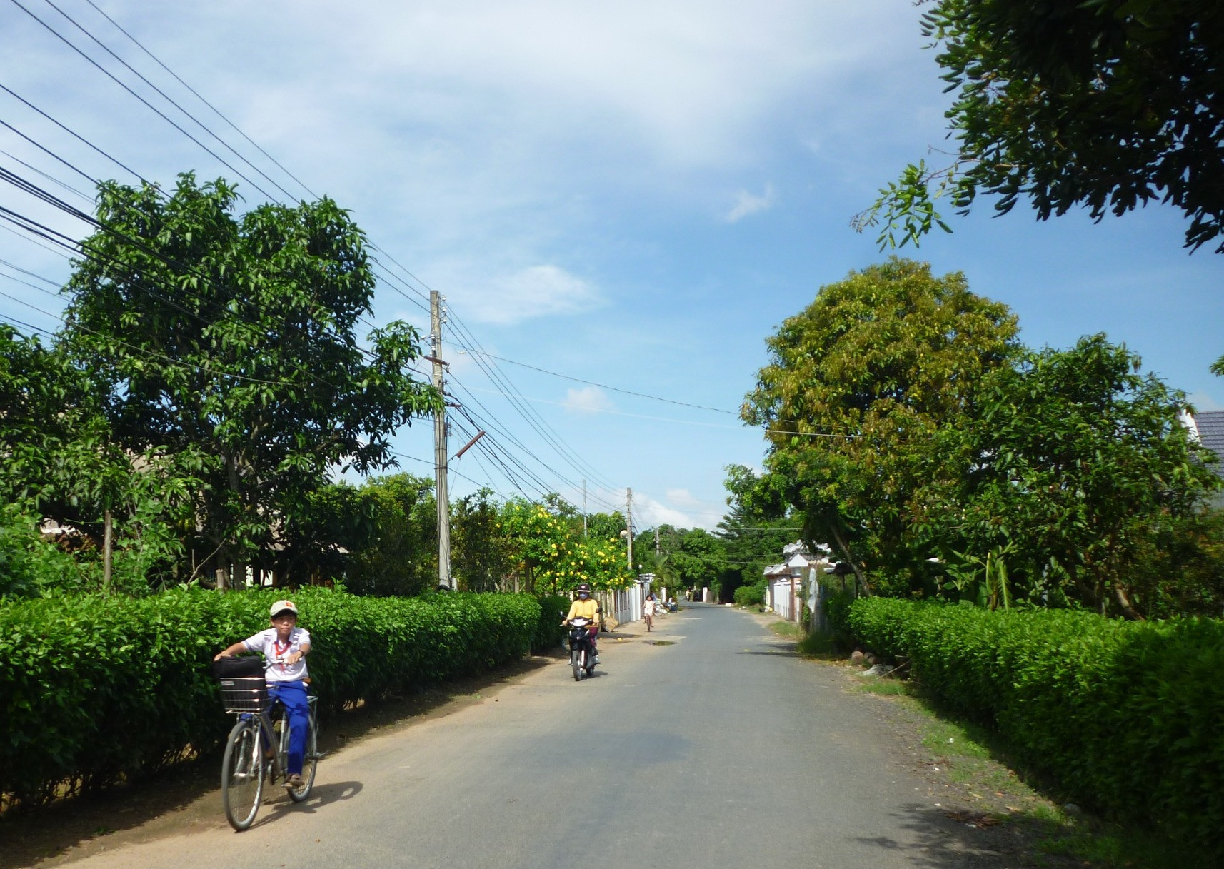 Nông thôn ở Lâm Đồng ngày càng sáng, xanh, sạch, đẹp