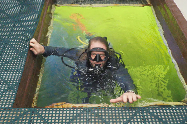 Chuyên gia sống 100 ngày dưới nước để tìm cách kéo dài tuổi thọ