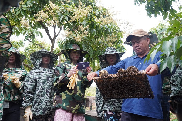 Du khách thích thú cắm trại ngắm hoa dưới gốc vải thiều, tự tay săn ong ở Bắc Giang