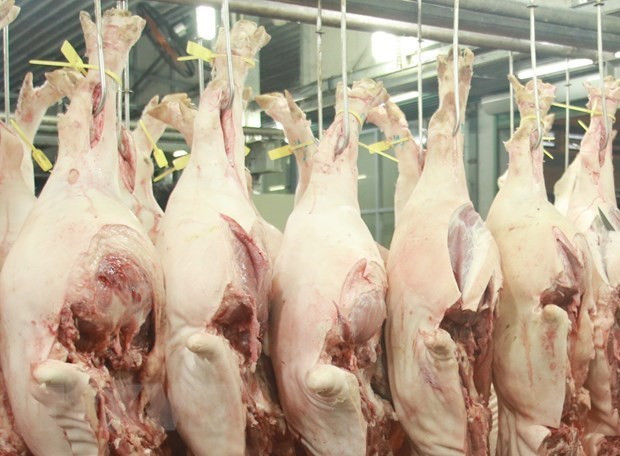 Laos suspends pork imports from Vietnam hinh anh 1