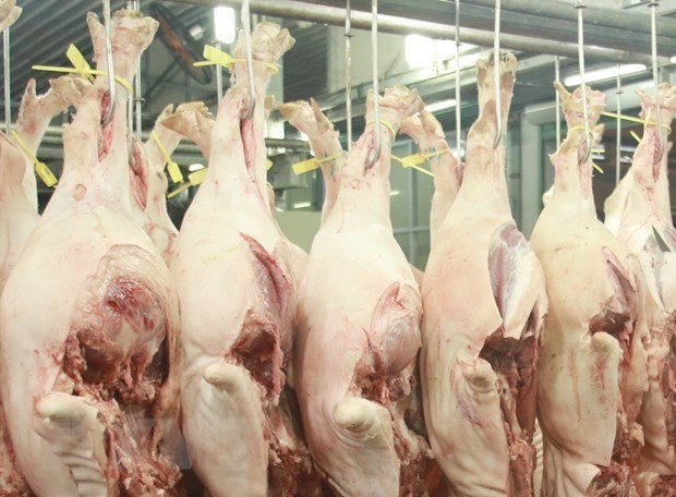 Laos suspends pork imports from Vietnam hinh anh 1