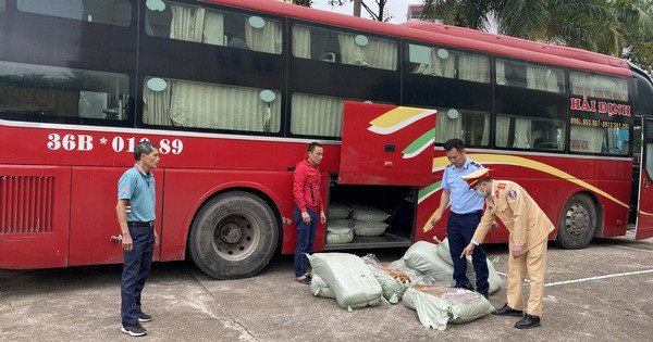 Phát hiện gần 500kg lòng lợn sấy khô ẩm mốc, chảy nước bốc mùi hôi thối