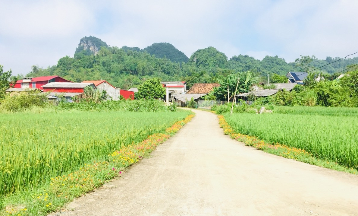 Bắc Kạn vững bước vươn lên xây dựng nông thôn mới nâng cao, bền vững
