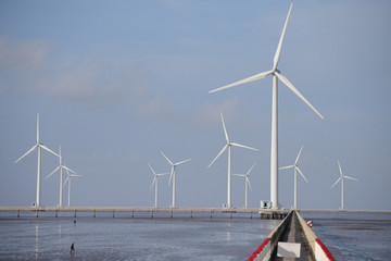 Vietnam needs to learn lessons in developing renewable energy