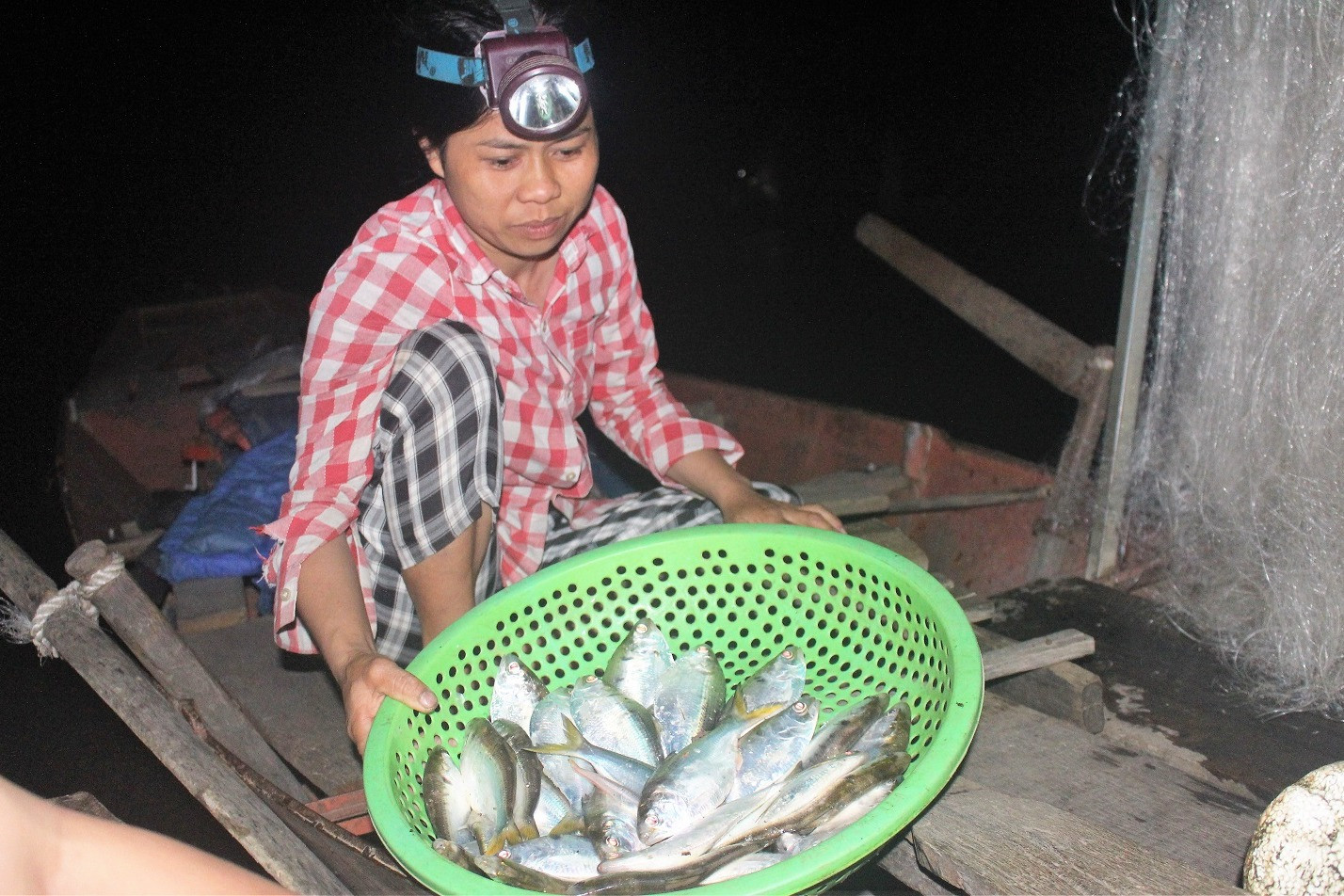 Xuyên đêm săn loài cá biển ngược sông Lam
