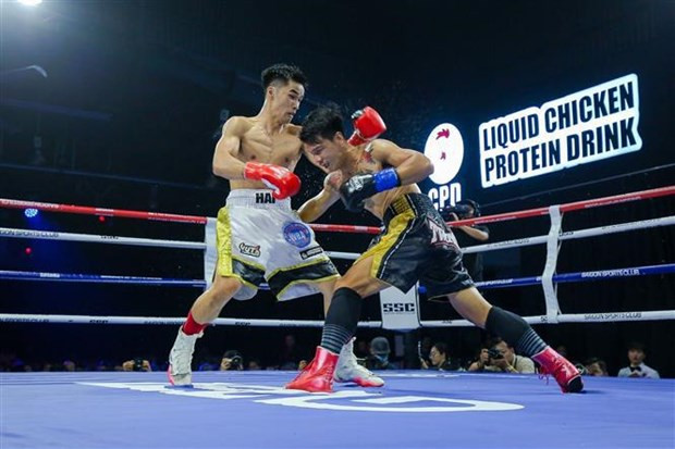 Boxer Nguyen Ngoc Hai wins WBA belt hinh anh 1