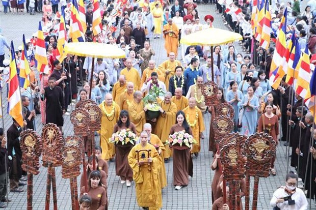 Sapling from world's longest-living Bodhi tree planted in Bai Dinh pagoda hinh anh 2