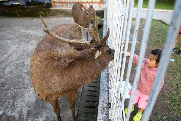 Điểm tham quan lâu đời hút khách ở Đà Nẵng, nay xơ xác khó tin
