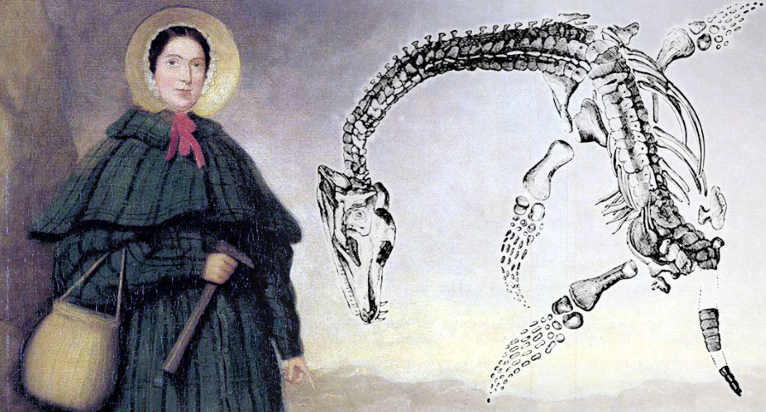 Cuộc đời bi kịch của nhà khoa học nữ chuyên săn tìm hóa thạch