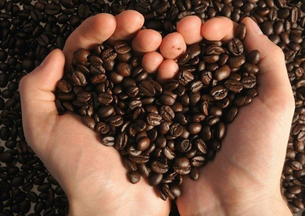 Vietnam to reassert its position on the world coffee map