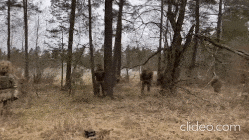 Video binh lính Ukraine ngụy trang thành 'người vô hình' giữa rừng cây