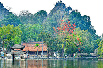 Hanoi’s ancient pagoda in the red-silk cotton tree season