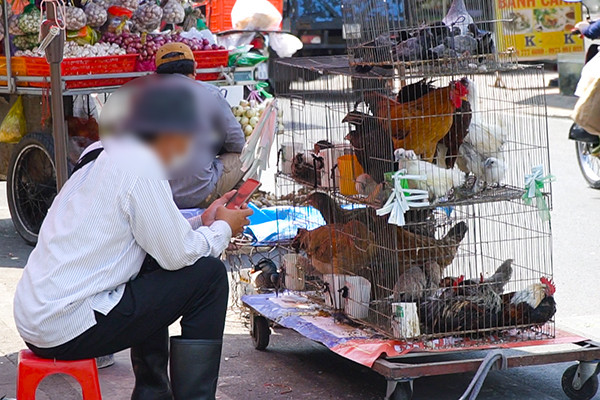 TP.HCM: Gà, vịt bán tràn lan, tiểu thương phớt lờ dịch bệnh