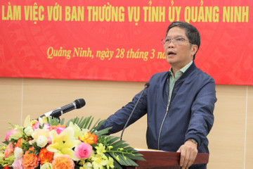 Trưởng Ban Kinh tế Trung ương: Quảng Ninh cần đẩy mạnh phát triển lâm nghiệp