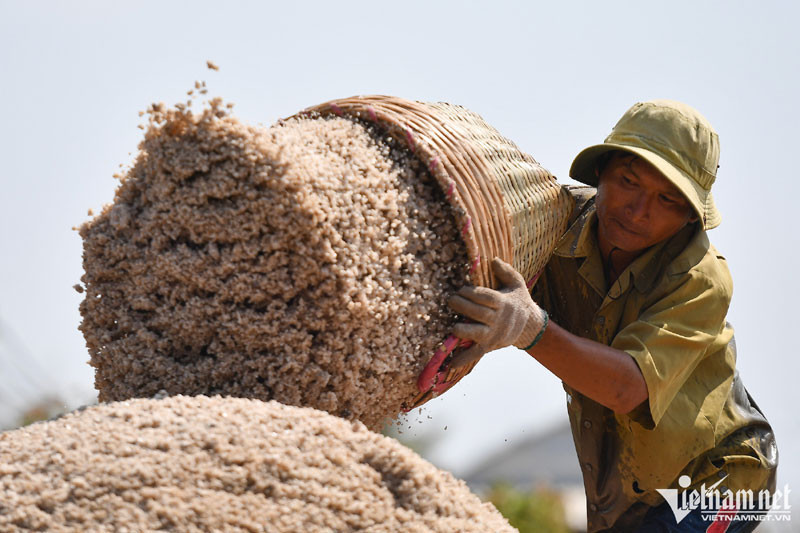 VN fears 'getting old before rich' as golden population period ends in 2039