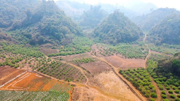 Giá đất Mộc Châu tăng nhanh, ‘neo’ cao, có nên đầu tư đón ‘sóng’ cao tốc?