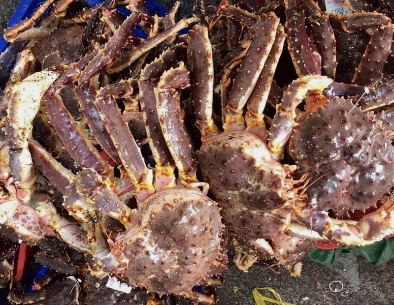 Vietnam spends $2.72 billion to import seafood, foreign crab floods market