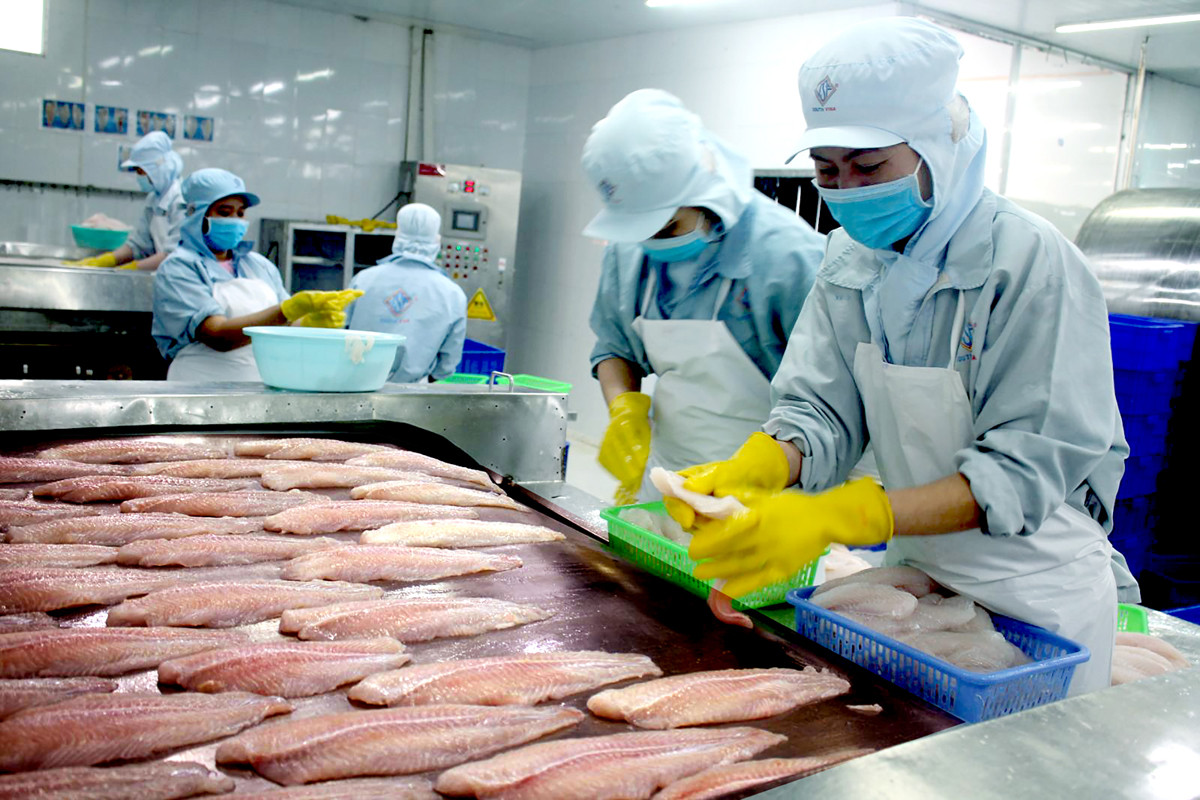 Vietnam's seafood exports hardest hit amid reduced global demand