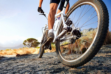 Đi xe đạp nhiều có ảnh hưởng sức khỏe sinh sản của nam giới?