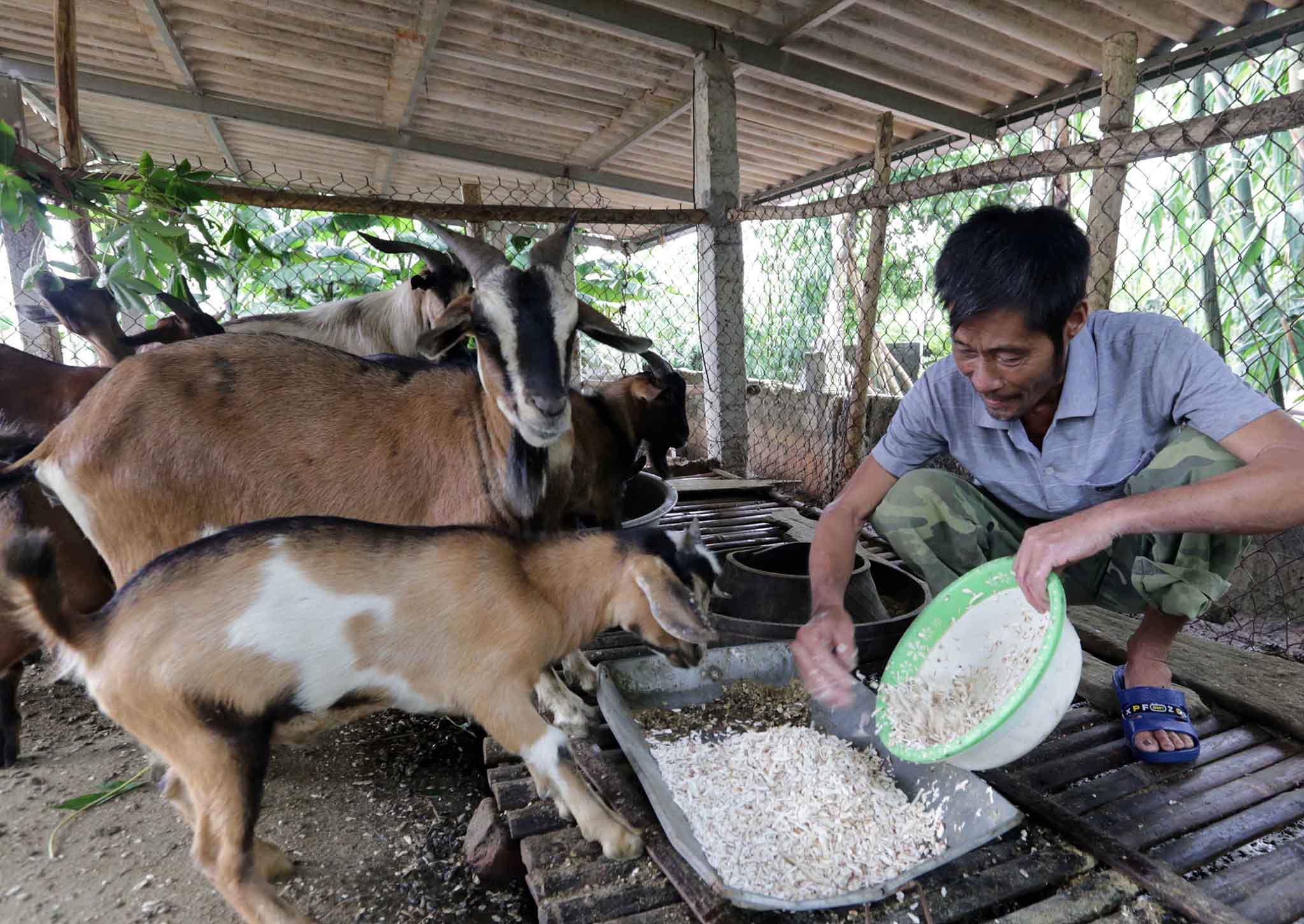 Cuộc sống cải thiện nhờ “chính sách hay”